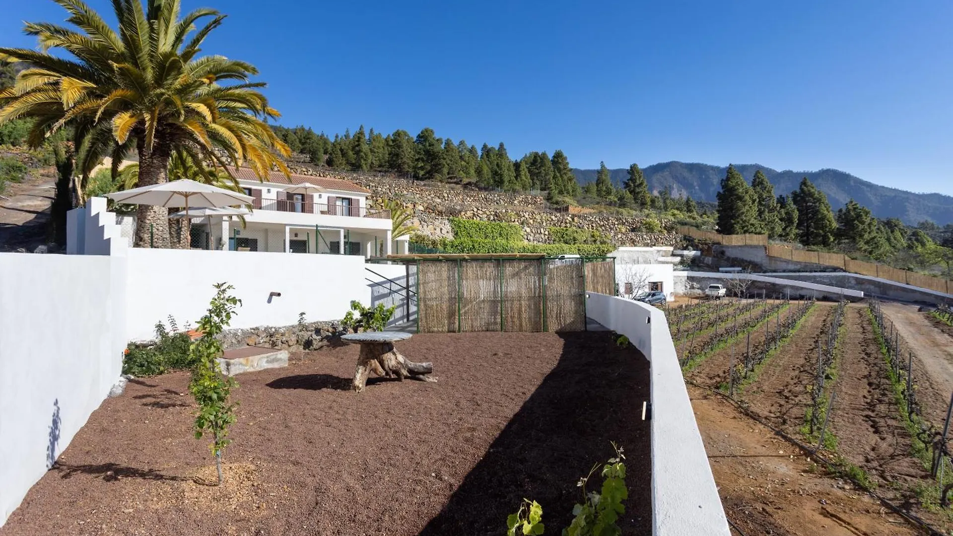 Finca Villa La Palmera, Amazing Sea Views Arafo 0*,  西班牙