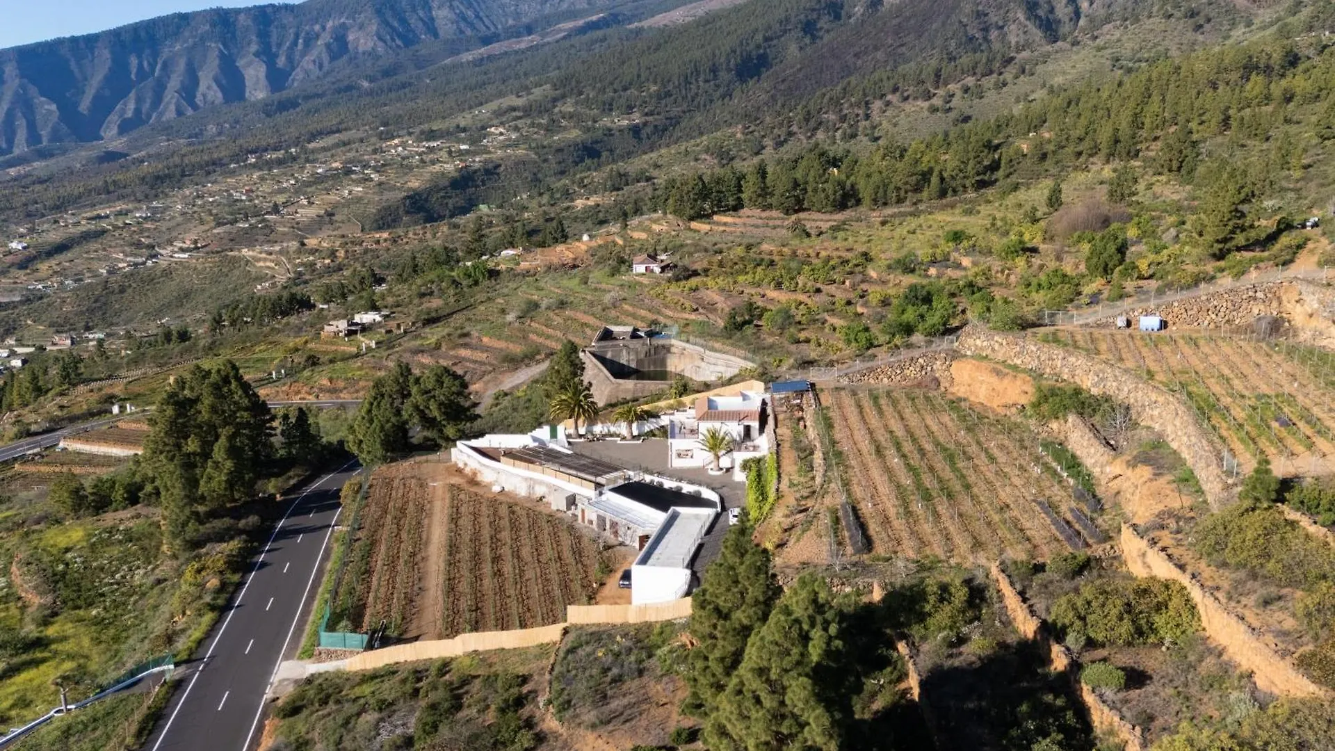 Finca Villa La Palmera, Amazing Sea Views Arafo 西班牙